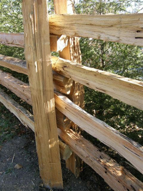 Split Rail Fence Posts