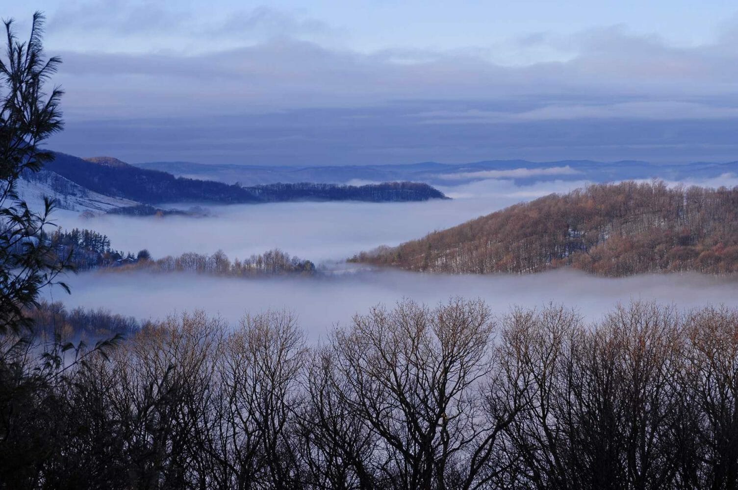 Todd Bush Photography: Foggy Mountains. Within Bark House Blog.