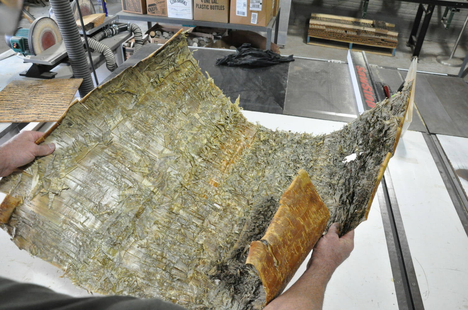 Readying Yellow Birch Bark for a Wall Covering