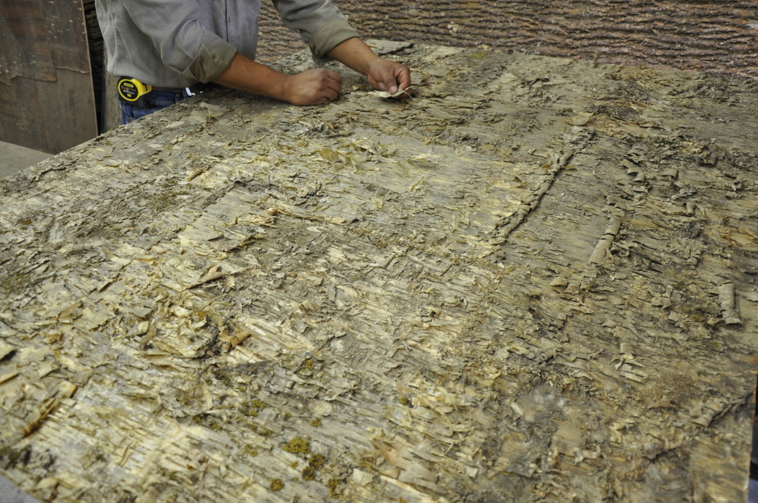 Creating a Yellow Birch Bark Laminate Wall Covering Panel