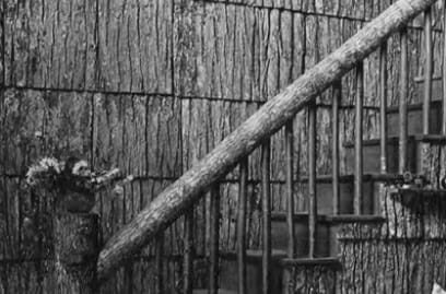 Bark Shakes make a great wall covering at this stair well