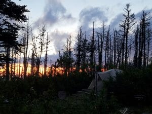 bark-house-expert-team-mount-mitchell-sunset-2016