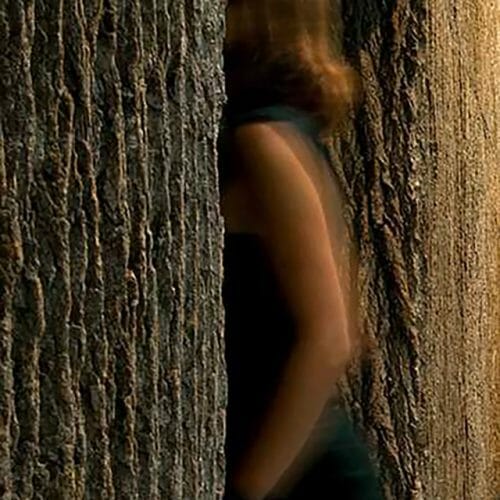 Leaving through Bark House Wall covering panels in Parsons NYC