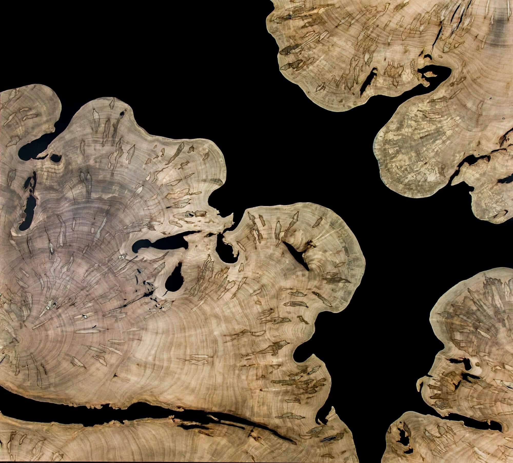 Bark House Live Edge Slabs make a fabulous artist creation coffee table