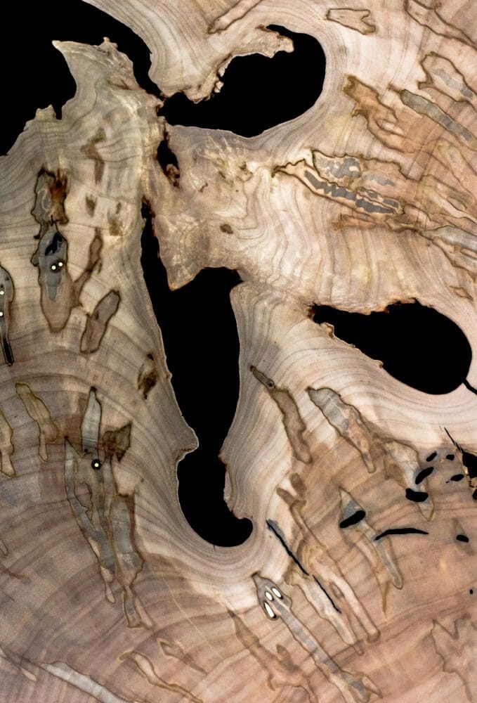 Bark House Live Edge Slabs make a fabulous artist creation coffee table