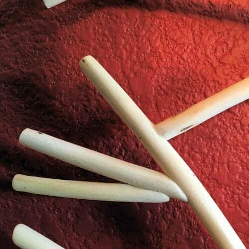 Bark House presents Jerry Flynn's maple twig sculpture close 2017