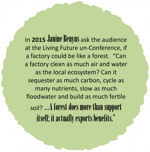 2015 Janine Benyus A forest does more than support itself. Bark House.