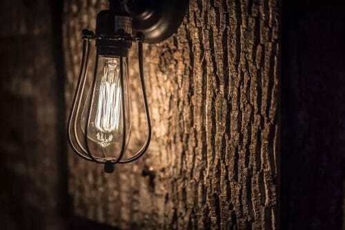 Bark House Poplar Bark in tiny house with steampunk industrial light fixture