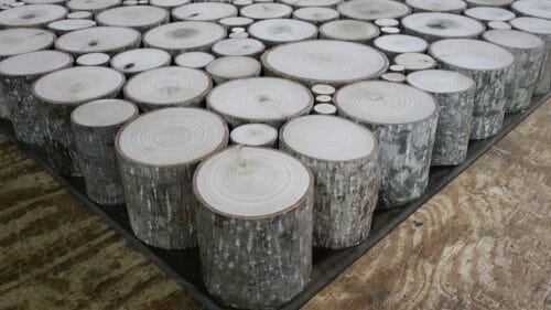 For sale - Bark House poplar pole end-cuts with Uniform Lengths/Heights