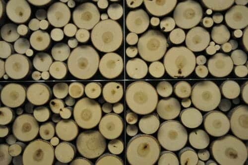 To buy Bark House Celebrated Seam poplar pole end-cuts wall panel