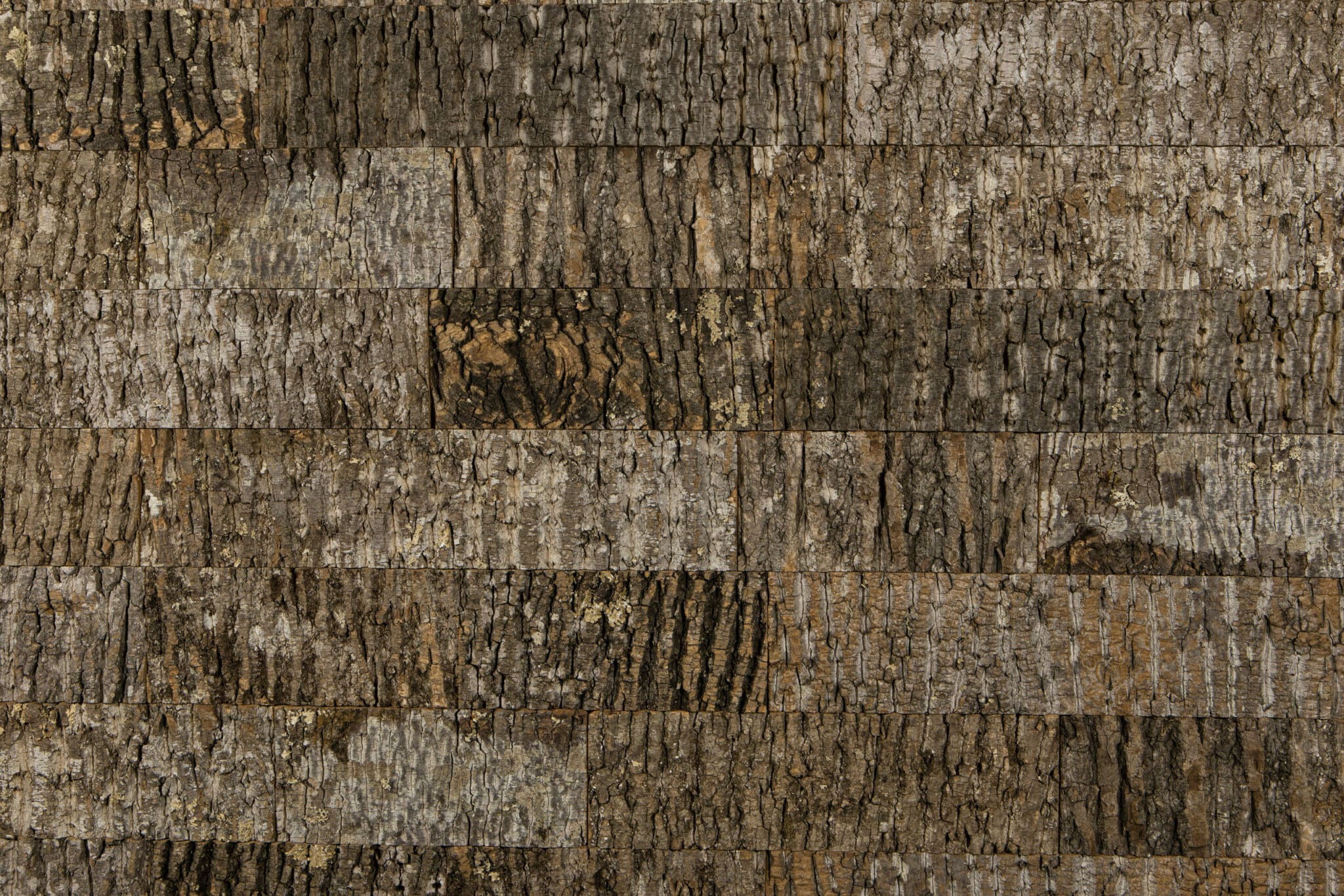 close up of Bark House subway tile panel in tulip poplar