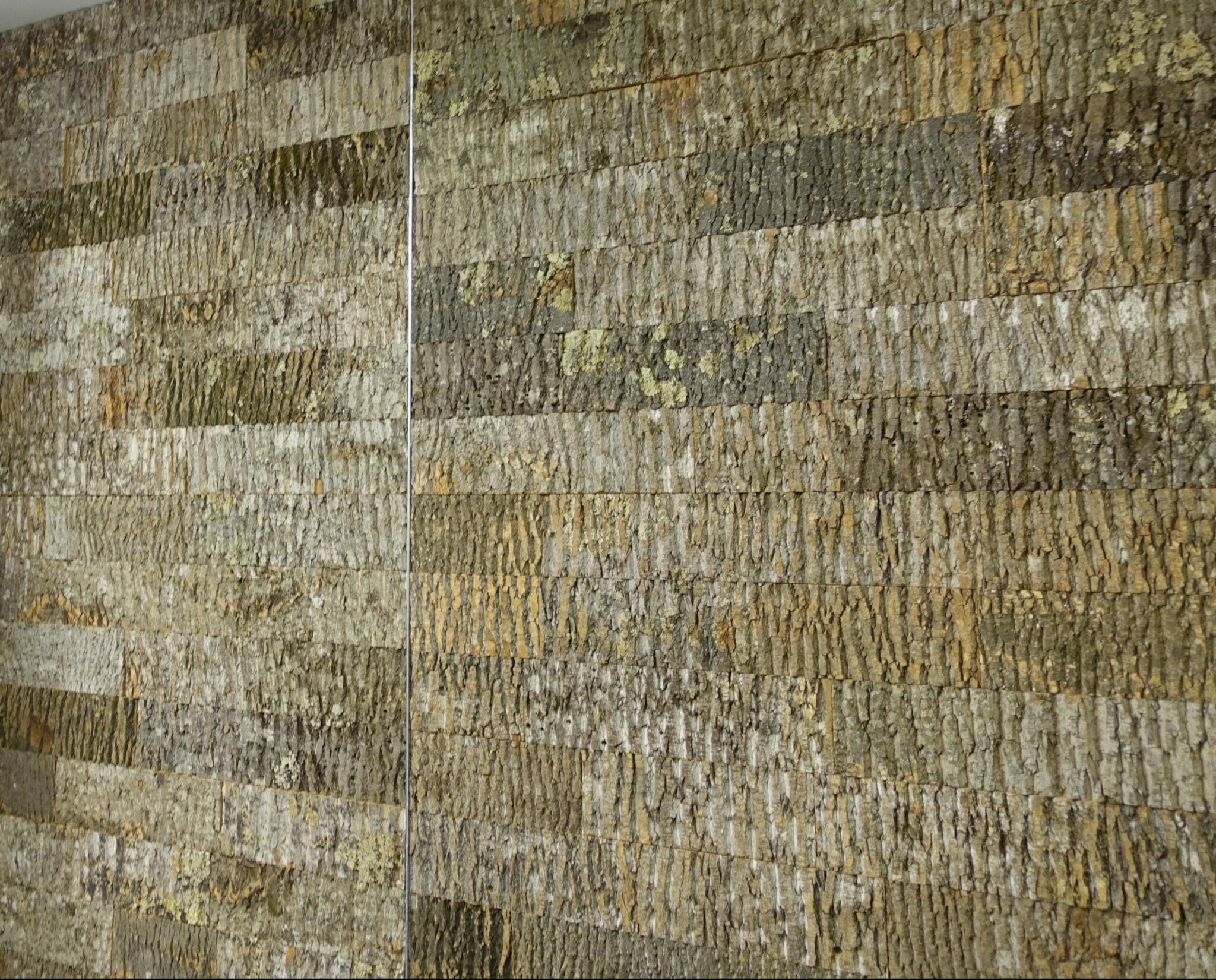 Casey is installing Bark House tulip poplar subway tile panels in office
