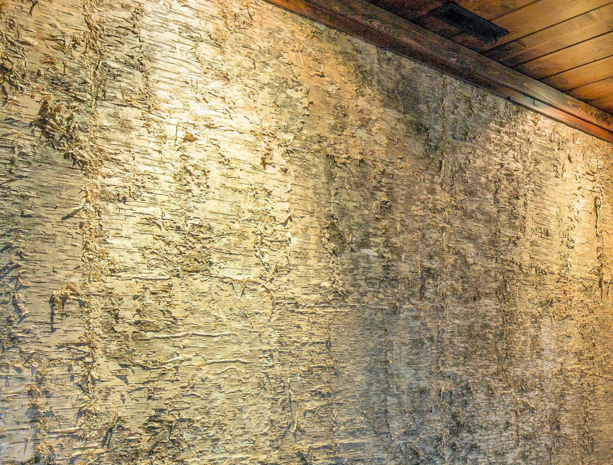 gold birch laminate wall panels coverings from bark house