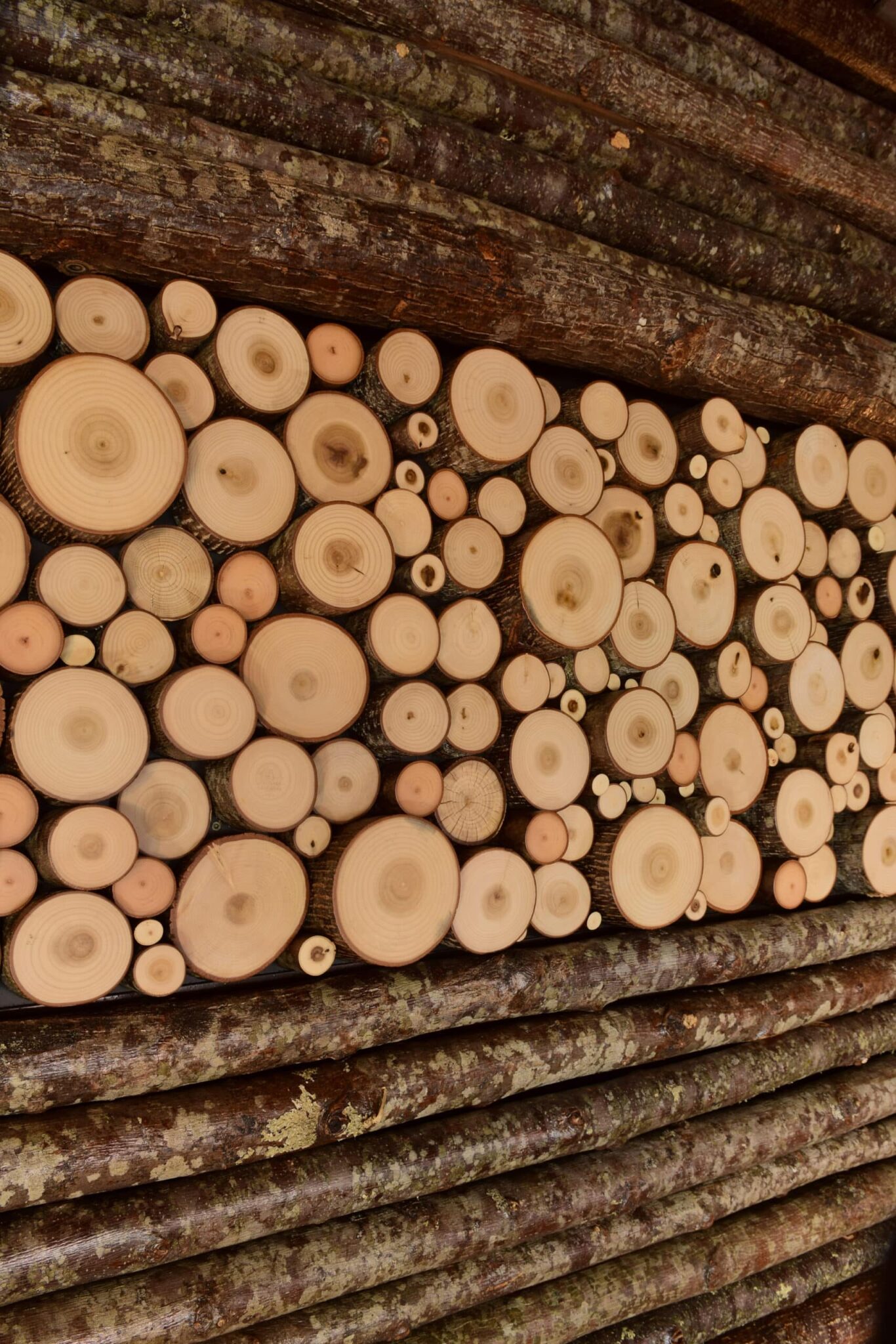 Bark House Poplar Pole End Cuts decorative wall panels - with Poles