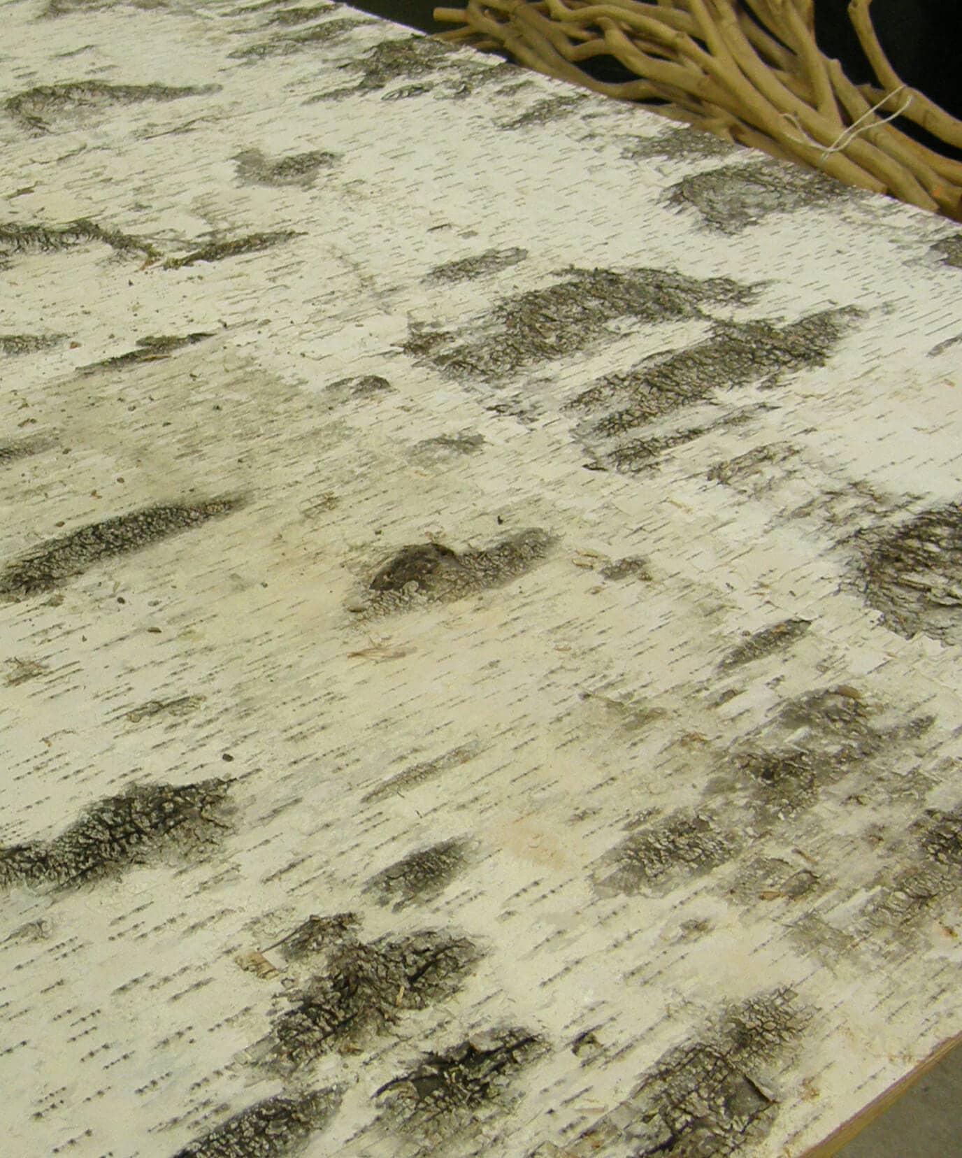 White Birch Bark Laminate Wall Panel by Bark House at Highland Craftsmen