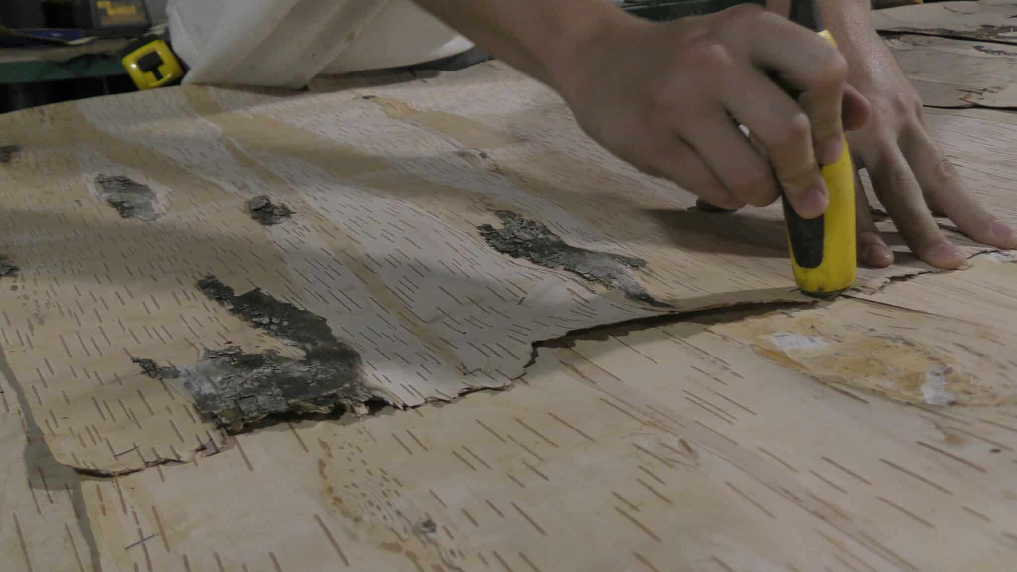NEW Birch Bark Leather Laminate Wall Covering