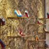 Bark House gold birch wall covering panels at an angle behind Christian Louboutin shoes in Miami boutique