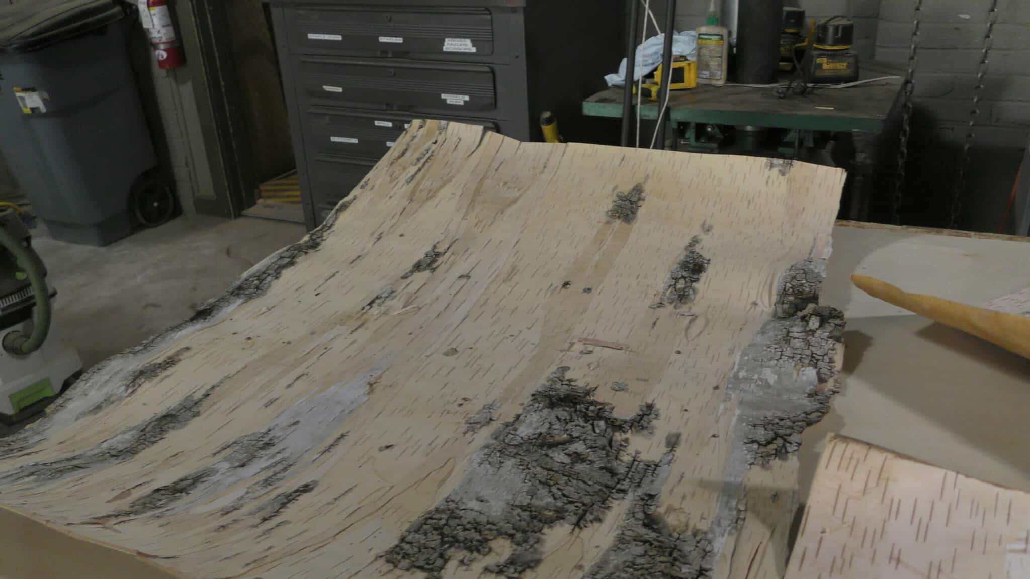 Bark House's new birch leather before lamination