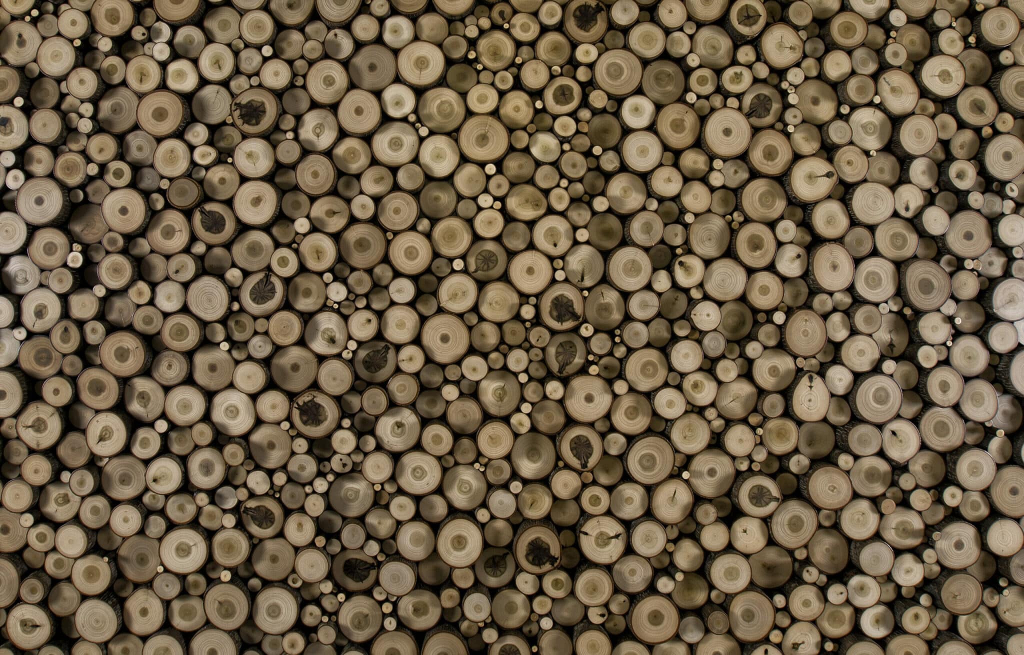 hidden seam bark house poplar pole end cut panels form a very large wall covering