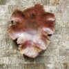 Burl bowl Bark House Subway Tile Wall Panel Marty Office