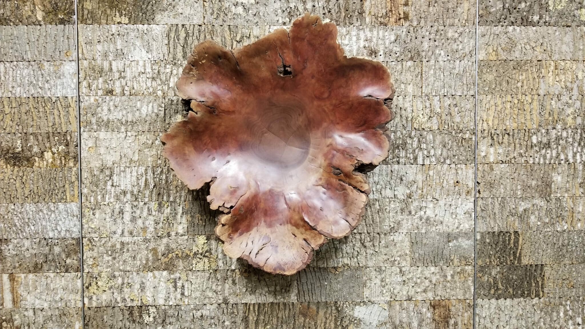 Burl bowl Bark House Subway Tile Wall Panel Marty Office