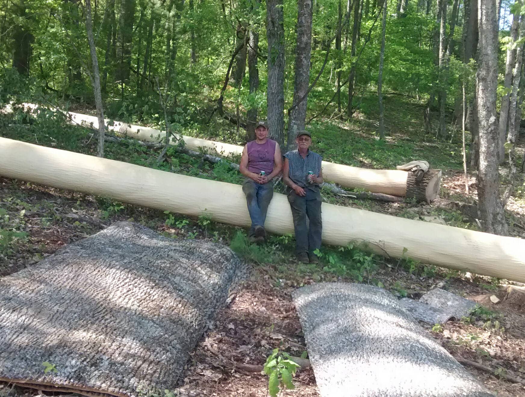 Bark House Poplar Bark Panels in the wild! Loggers take a rest after harvesting panels.