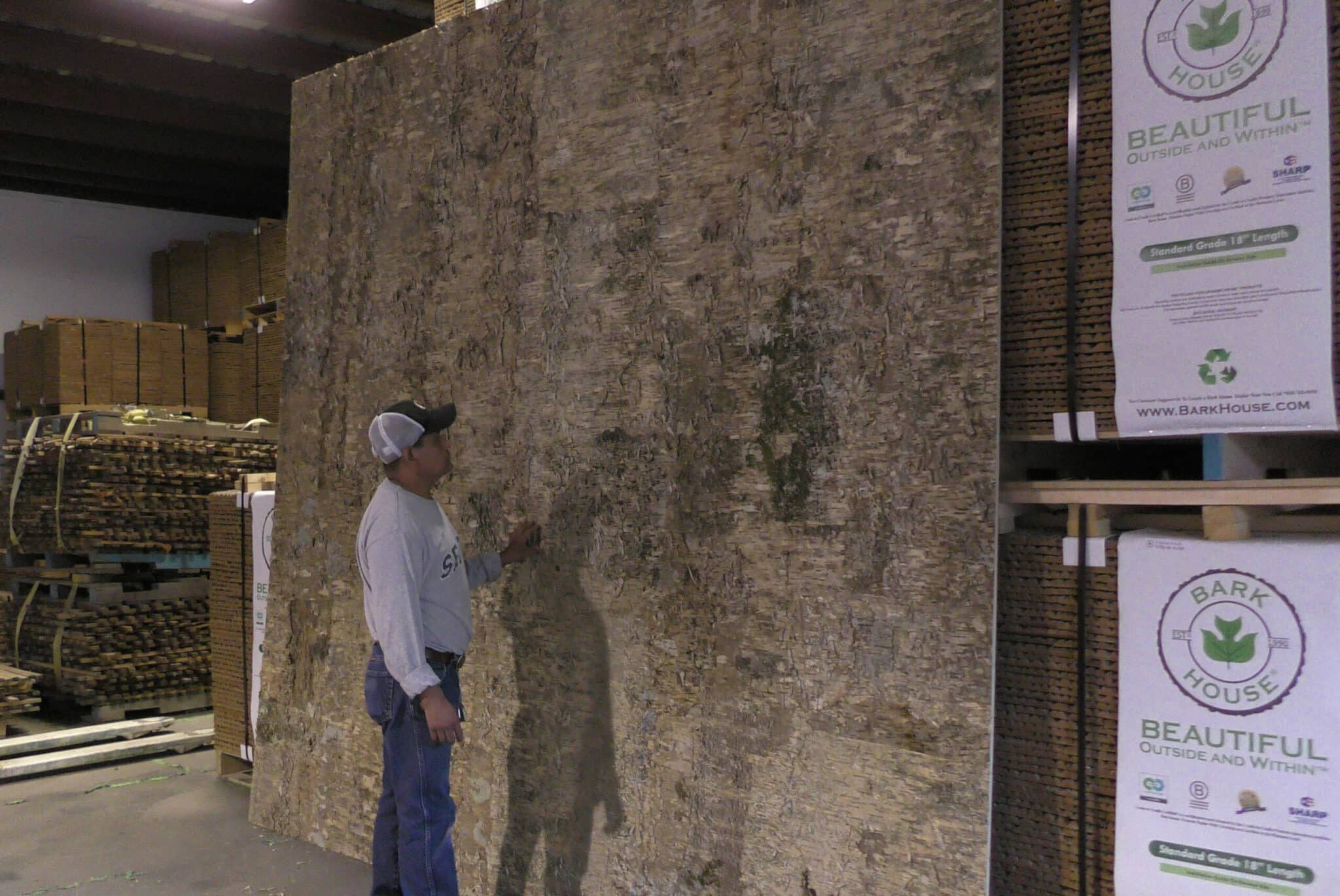 Berto inspects customer's huge Bark House Gold (yellow) birch wall covering panel