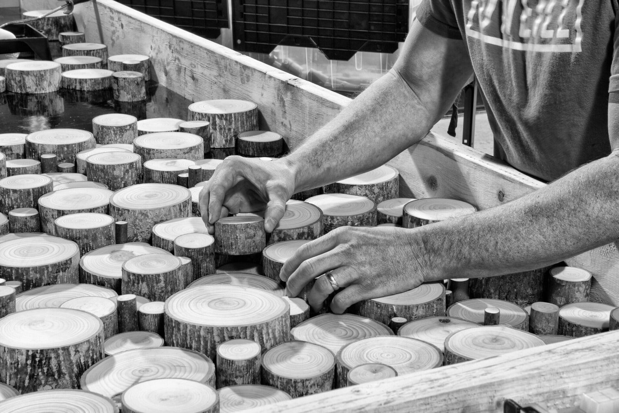 Matt is finding the perfect placement of disks for the poplar pole end-cuts wall covering panels