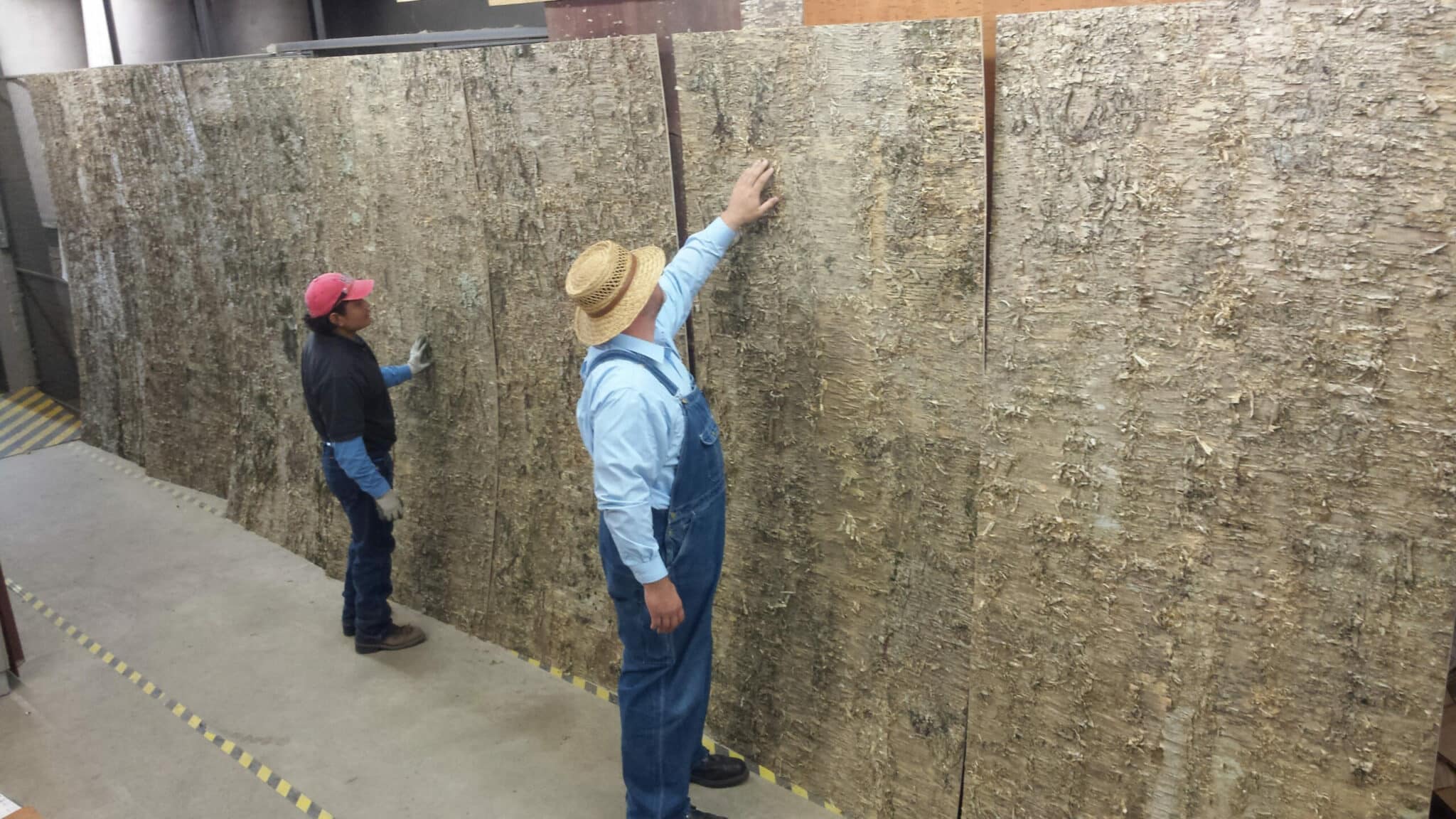 Berto and Travis inspect Multiple Huge Bark House Gold Yellow Birch Wall Coverings Panels warehouse