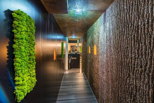 Bark House Poplar Panels in hallway - biophilia