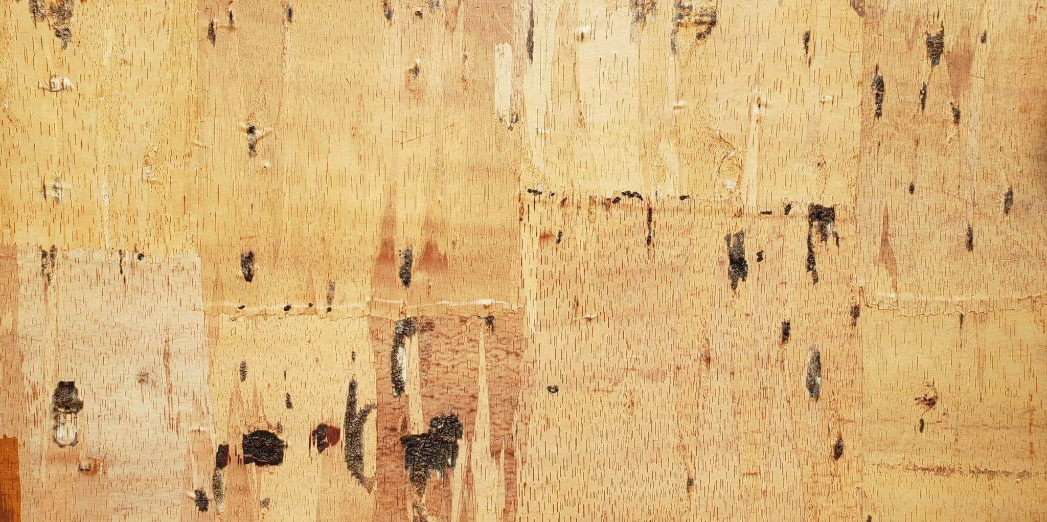 Birch Leather laminated veneer wall panels sheets Bark House