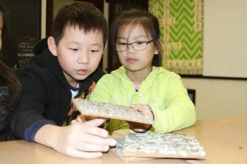 5th Grade students in Quincy, MA learn about eco-friendly building products by using Bark House Shingles.