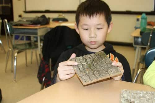 5th Grade students in Quincy, MA learn about eco-friendly building products by using Bark House Shingles.