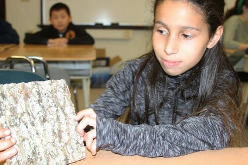 5th Grade students in Quincy, MA learn about eco-friendly building products by using Bark House Shingles.