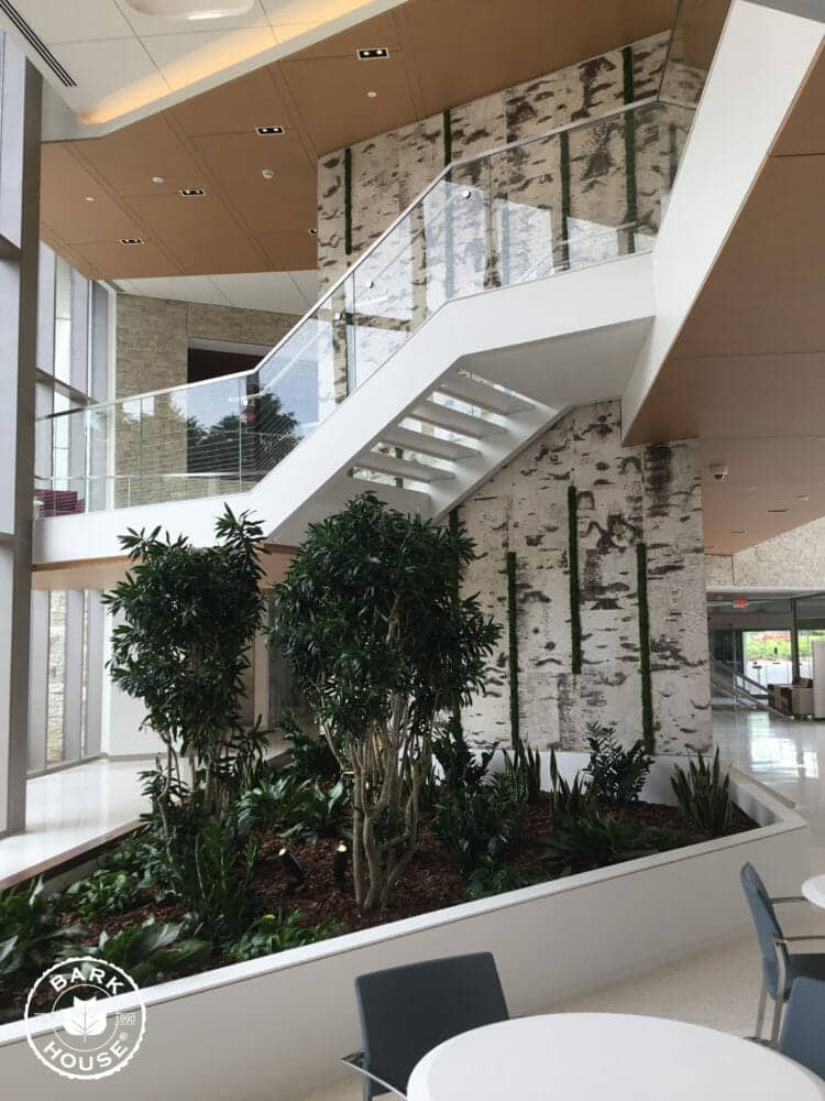 Bark House White Birch Bark Wall Covering Panels in Cancer Hospital