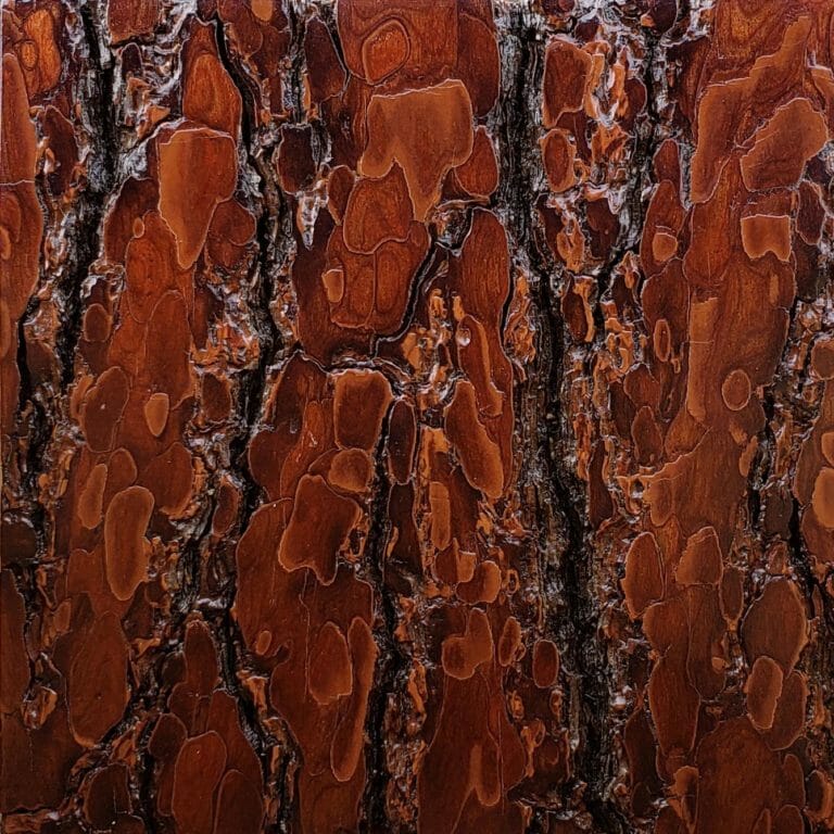 Sample of Bark House Product: Rough White Pine Bark Sanded