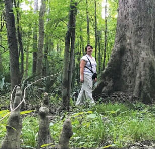 Bark House advocates ForestHer