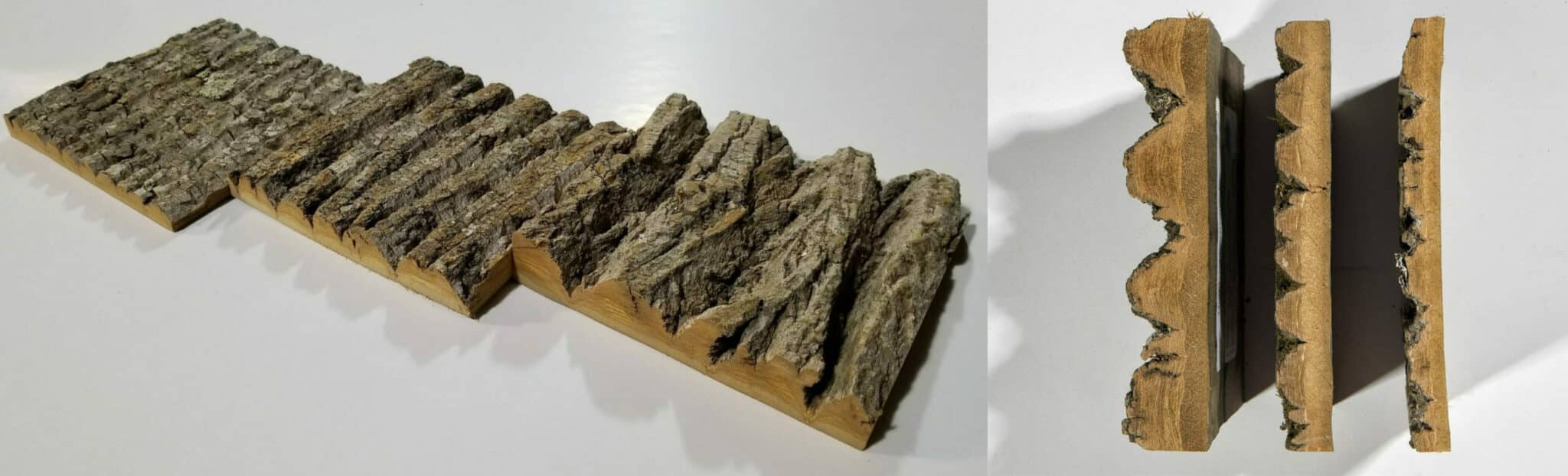Bark Shingle Thickness Bark Shingle Thickness