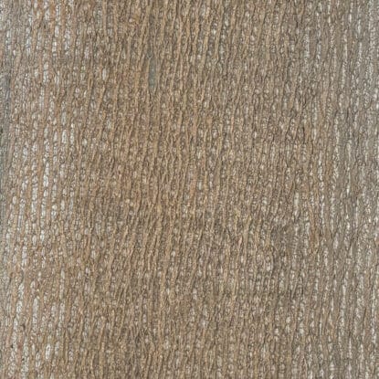 POPP-STD-21-0032