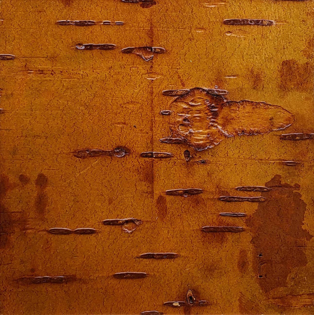 bark-house-cherry-leather-wall-covering-6x6