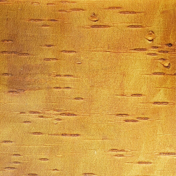 Cherry Leather Bark Sample