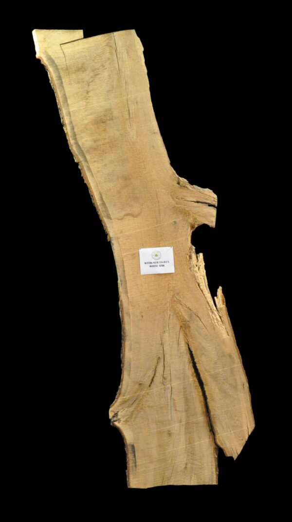 153" White Oak Live Edge Slab [WTOK-SLR-18-0015]
