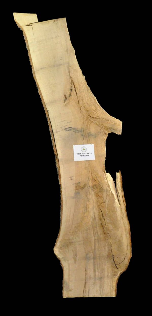 153" White Oak Live Edge Slab [WTOK-SLR-18-0016]