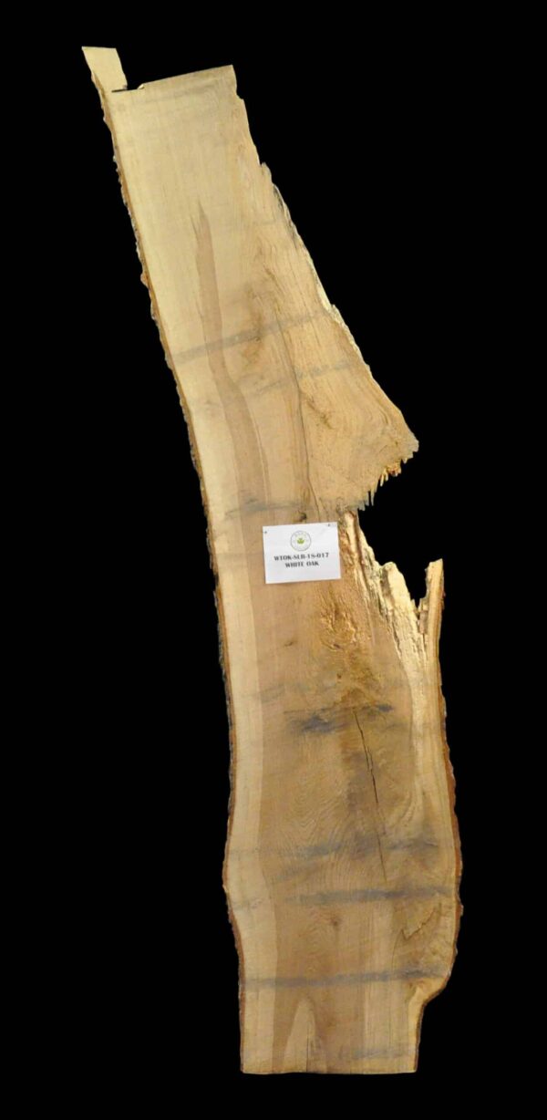 150" White Oak Live Edge Slab [WTOK-SLR-18-0017]