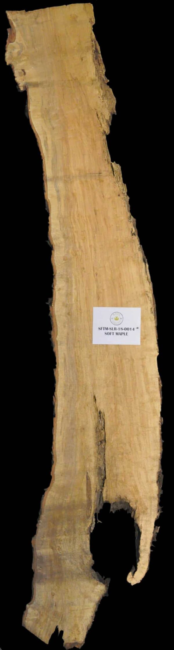 147" Maple Live Edge Slab [SFTM-SLR-18-0014]