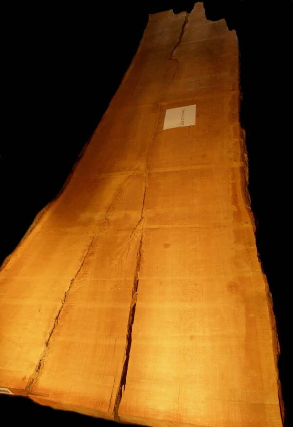 190" Cherry Live Edge Slab [BKCH-SLR-12-0037]