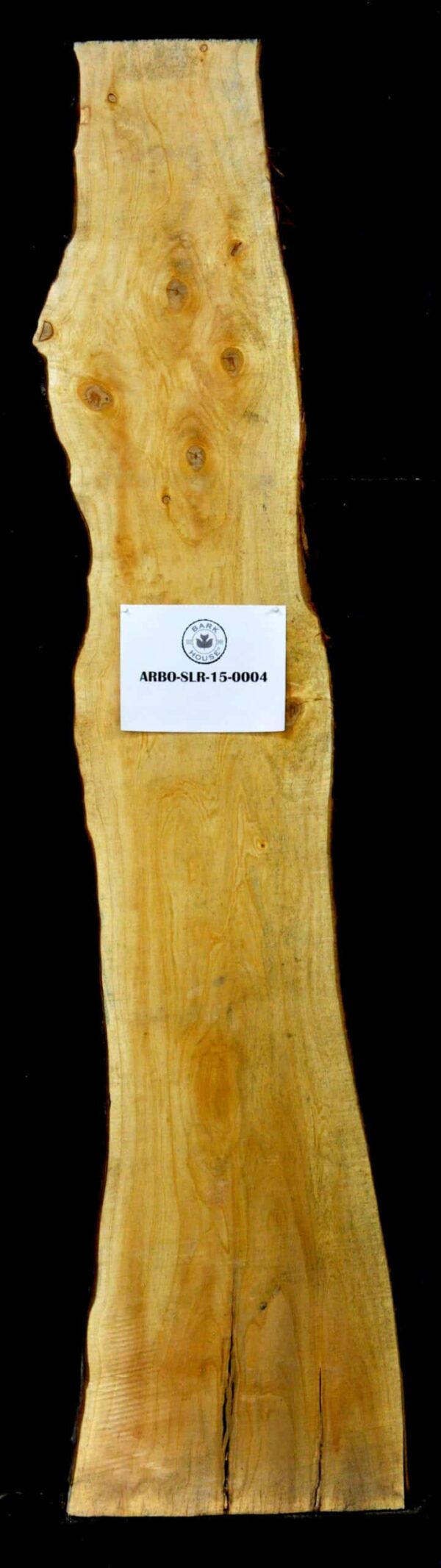 98" Arborvitae Live Edge Slab  [ARBO-SLR-15-0004]