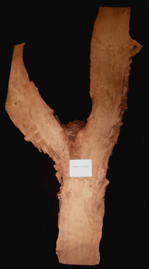 138" Maple Live Edge Slab Irregular [HRDM-SLI-12-0007]