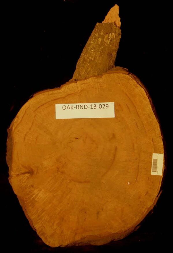 31" Oak Live Edge Round Slab [RDOK-RND-13-0029]