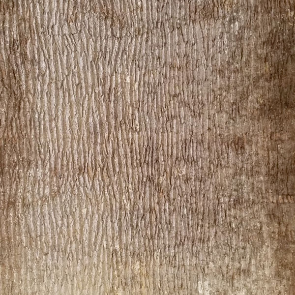 Poplar-Bark-Panel-Wall-Coverings